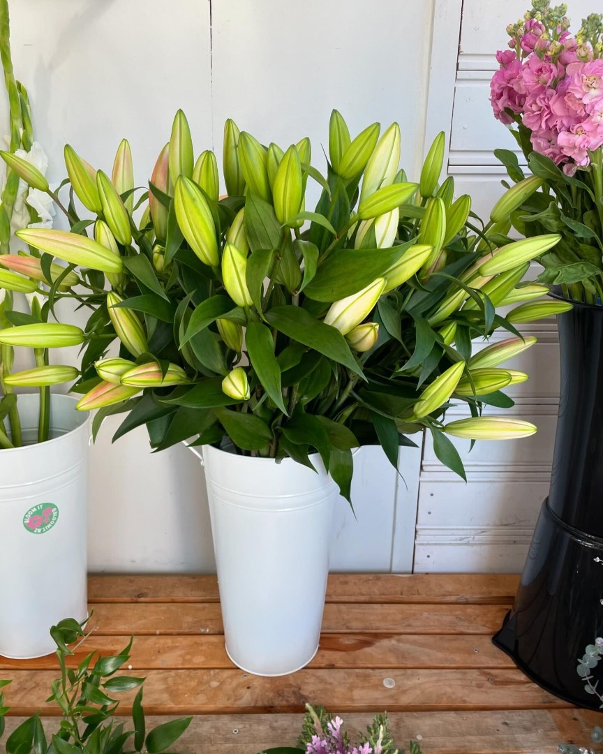 Bloom It Florist Flowers