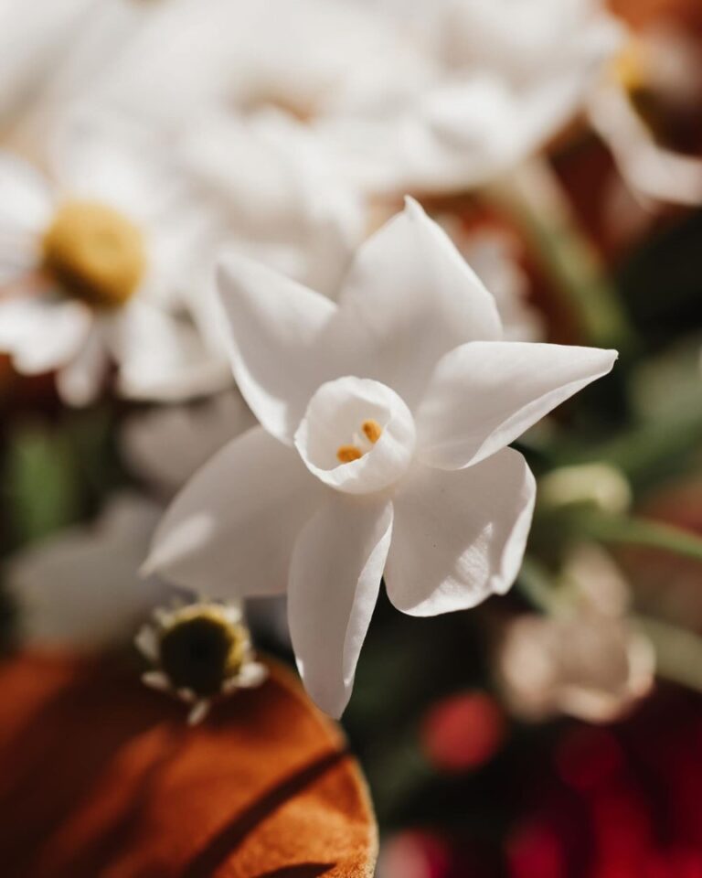 Bloom It Florist Flowers