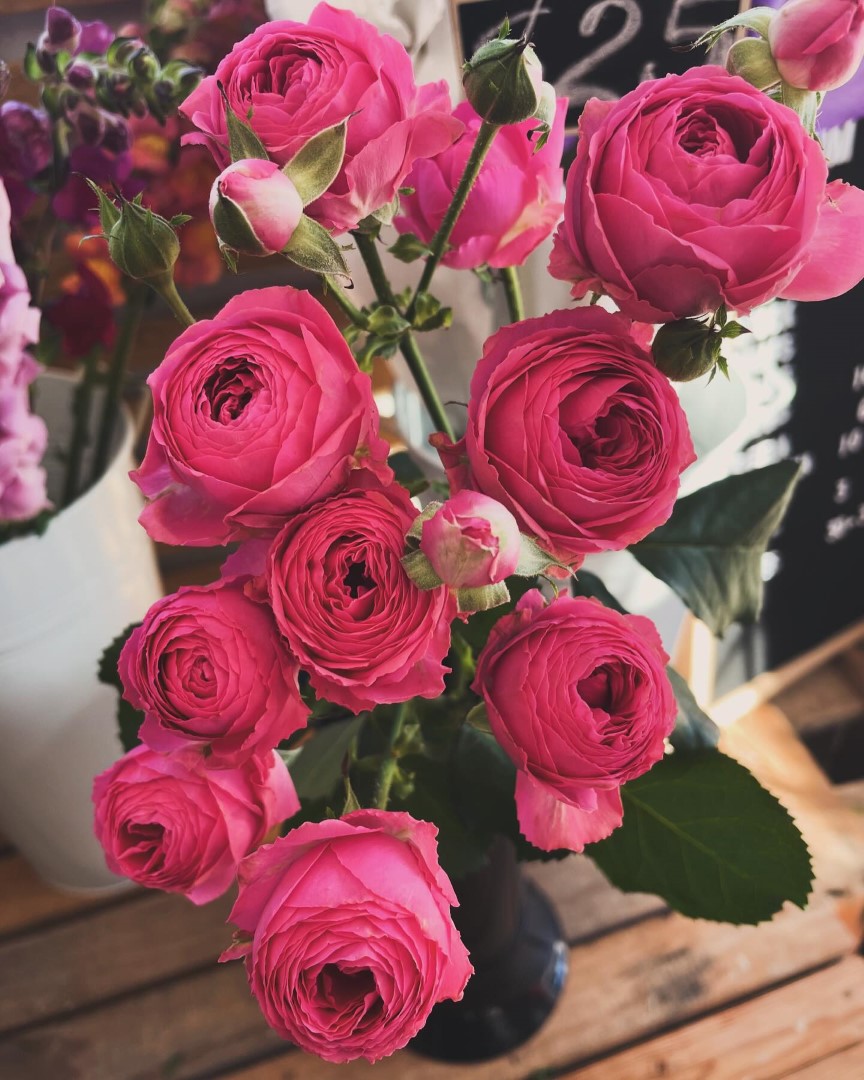Bloom It Florist Flowers