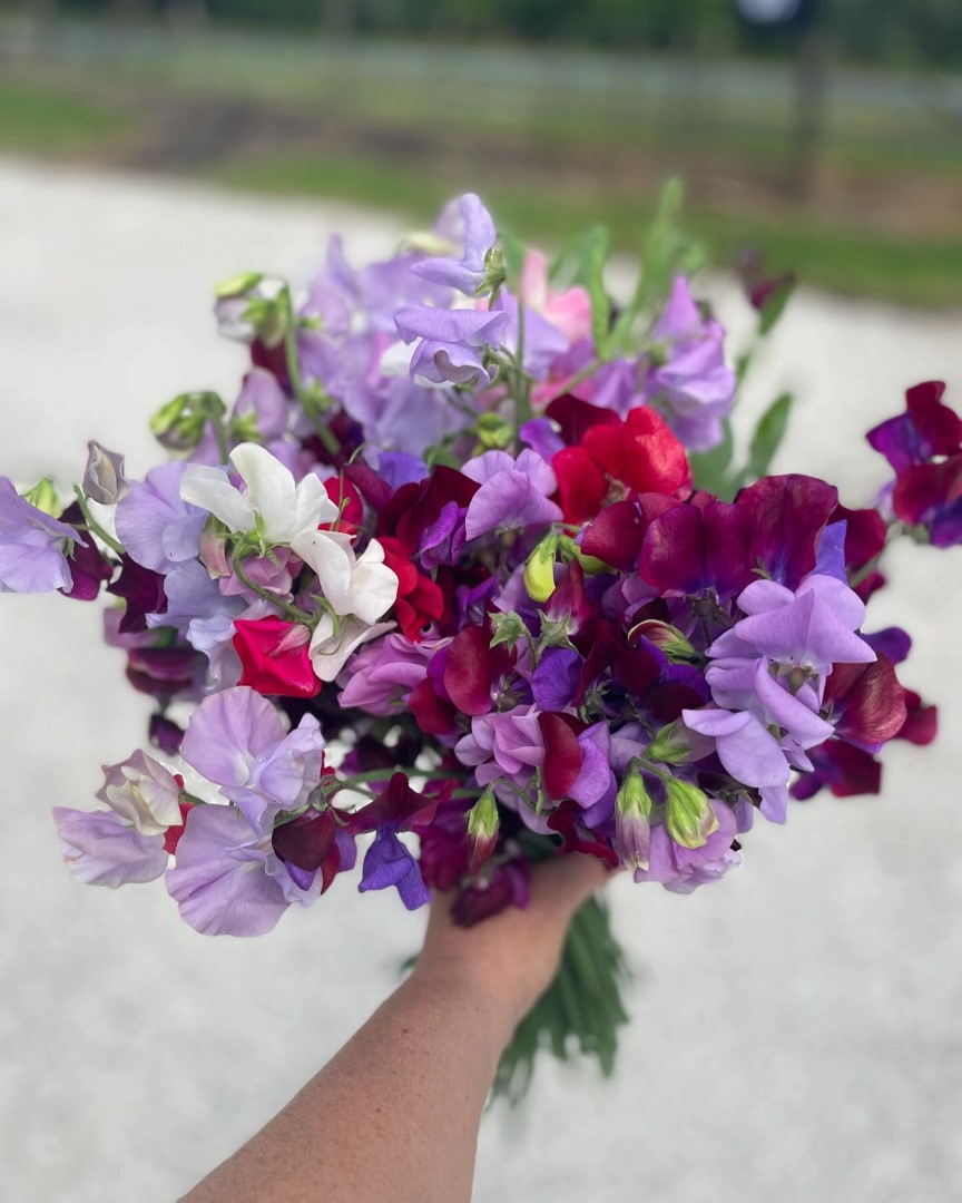 Bloom It Florist New Lynn West Auckland
